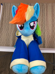 Size: 2780x3691 | Tagged: safe, artist:qtpony, derpibooru import, rainbow dash, pony, clothes, hoodie, irl, life size, photo, plushie, solo