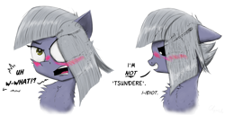 Size: 2100x1071 | Tagged: safe, artist:chopsticks, derpibooru import, limestone pie, earth pony, pony, blatant lies, blushing, cheek fluff, chest fluff, comic, cute, dialogue, ear fluff, ears, eyebrows, eyebrows visible through hair, female, floppy ears, limabetes, limetsun pie, looking at you, looking away, solo, text, tsundere