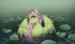Size: 2048x1207 | Tagged: safe, artist:ijustmari, derpibooru import, fluttershy, pegasus, pony, female, lilypad, looking at you, looking sideways, mare, partially submerged, profile, solo, water, wet, wet mane