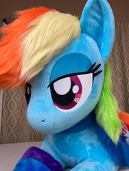 Size: 3024x4032 | Tagged: safe, artist:qtpony, derpibooru import, rainbow dash, pony, clothes, irl, life size, photo, plushie, rainbow socks, socks, solo, striped socks