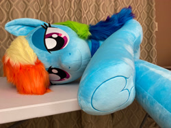 Size: 4032x3024 | Tagged: safe, artist:qtpony, derpibooru import, rainbow dash, pony, clothes, frog (hoof), irl, life size, photo, plushie, solo, underhoof