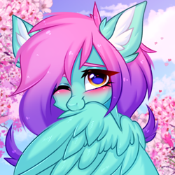 Size: 3000x3000 | Tagged: safe, artist:pesty_skillengton, derpibooru import, oc, oc:swing time, pegasus, pony, biting, cherry blossoms, cute, female, flower, flower blossom, grooming, mare, preening, sketch, solo, wing bite, wings