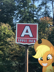 Size: 774x1032 | Tagged: safe, editor:undeadponysoldier, photographer:undeadponysoldier, applejack, earth pony, pony, cute, dollywood, female, grin, happy, hat, jackabetes, mare, namesake, parking lot, pigeon forge, ponies in real life, sign, smiling, tennessee