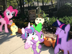Size: 1032x774 | Tagged: safe, edit, editor:undeadponysoldier, pinkie pie, pound cake, princess flurry heart, pumpkin cake, spike, twilight sparkle, twilight sparkle (alicorn), alicorn, dragon, earth pony, pegasus, pony, unicorn, amusement park, baby, baby pony, colt, cute, dollywood, dragons in real life, family fun, family photo, female, filly, happy, hug, looking at you, male, mare, pigeon forge, piggyback ride, ponies in real life, pumpkin, raised hoof, raised leg, spikelove, tennessee, tongue, tongue out, vacation