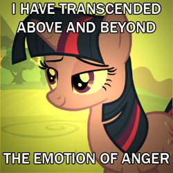 Size: 400x400 | Tagged: source needed, safe, derpibooru import, edit, edited screencap, screencap, twilight sparkle, unicorn twilight, unicorn, caption, image macro, meme, text