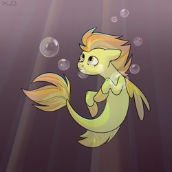 Size: 1080x1080 | Tagged: safe, artist:xwosya, derpibooru import, spitfire, pegasus, seapony (g4), bubble, crepuscular rays, dorsal fin, female, fin wings, fins, fish tail, flowing tail, golden eyes, looking up, ocean, orange mane, seaponified, smiling, solo, species swap, swimming, tail, underwater, water, wings