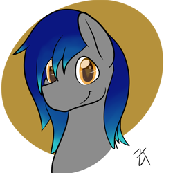 Size: 3000x3000 | Tagged: safe, artist:zombietator, derpibooru import, oc, oc only, oc:frostbite, earth pony, pony, abstract background, bust, earth pony oc, male, signature, smiling, solo, stallion