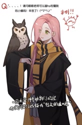 Size: 883x1343 | Tagged: safe, artist:xieyanbbb, derpibooru import, fluttershy, bird, human, owl, g4, chinese, clothes, female, hair over one eye, harry potter, harry potter (series), hufflepuff, humanized, scarf, simple background, skirt, solo, text, translated in the comments, translation request, wand, white background