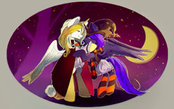 Size: 1560x980 | Tagged: safe, artist:skyeypony, derpibooru import, alicorn, pony, duo