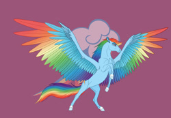 Size: 1280x887 | Tagged: safe, artist:soaringdragonpl, derpibooru import, rainbow dash, horse, pegasus, pony, colored wings, cutie mark background, female, hoers, mare, multicolored wings, rainbow wings, rearing, solo, spread wings, wings