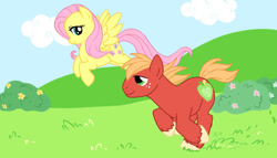 Size: 929x533 | Tagged: artist needed, safe, derpibooru import, big macintosh, fluttershy, earth pony, pegasus, pony, female, fluttermac, flying, looking at each other, male, mare, missing accessory, running, shipping, smiling, smiling at each other, stallion, straight, windswept mane