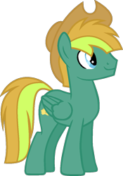 Size: 753x1078 | Tagged: safe, artist:pegasski, derpibooru import, oc, oc:texton, pegasus, pony, hat, male, simple background, solo, stallion, transparent background