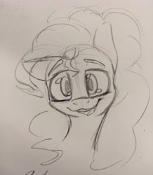 Size: 3120x3579 | Tagged: safe, artist:packy paca, derpibooru import, pinkie pie, pony, bust, looking at you, monochrome, pencil drawing, photo, ponk, smiling, solo, traditional art