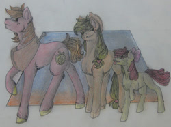 Size: 1280x950 | Tagged: safe, artist:unknownfilters, derpibooru import, apple bloom, applejack, big macintosh, earth pony, pony, female, filly, male, mare, siblings, stallion, traditional art