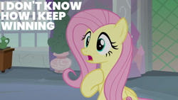 Size: 1280x720 | Tagged: safe, derpibooru import, edit, edited screencap, editor:quoterific, screencap, fluttershy, pegasus, pony, non-compete clause, season 8, spoiler:s08, female, mare, open mouth, school of friendship, solo