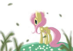 Size: 1024x714 | Tagged: safe, artist:kikuthefoxofficial, derpibooru import, fluttershy, pegasus, pony, backlighting, female, flower, folded wings, grass, looking away, mare, melancholy, outdoors, rear view, solo, standing, wings