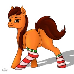 Size: 1280x1280 | Tagged: safe, artist:palettenight, derpibooru import, oc, oc only, oc:palettenight, earth pony, pony, butt, clothes, looking at you, looking back, plot, shadow, simple background, socks, solo, striped socks, tail, white background