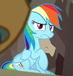 Size: 400x413 | Tagged: safe, derpibooru import, screencap, rainbow dash, pegasus, pony, daring done?, breaking the fourth wall, cropped, female, looking at you, looking back, looking back at you, rainbow dash is best facemaker, raised hoof, raised leg, solo