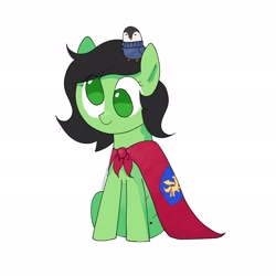 Size: 2048x2048 | Tagged: safe, artist:omelettepony, derpibooru import, oc, oc only, oc:anon filly, bird, earth pony, pony, cape, clothes, cmc cape, derp, female, filly, plushie, simple background, sitting, white background