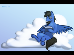 Size: 2708x2000 | Tagged: safe, artist:phlerius, derpibooru import, oc, oc only, oc:glorious shark, pegasus, pony, book, cloud, heterochromia, solo, wings