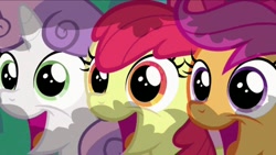 Size: 2208x1242 | Tagged: safe, screencap, apple bloom, scootaloo, sweetie belle, earth pony, pegasus, pony, unicorn, hearts and hooves day (episode), adorabloom, bow, bush, cute, cutealoo, cutie mark crusaders, diasweetes, female, filly, hair bow, happy, hiding, looking at you, open mouth, trio