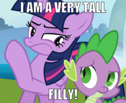 Size: 960x785 | Tagged: safe, edit, edited screencap, editor:undeadponysoldier, screencap, spike, twilight sparkle, twilight sparkle (alicorn), alicorn, dragon, pony, to where and back again, animated, asdfmovie, confused, edited gif, female, gif, i am a very tall midget, image macro, male, mare, meme, reference, whispering
