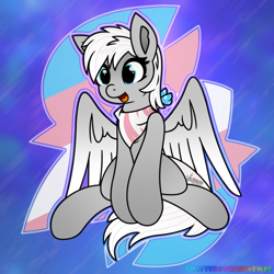 Size: 1920x1920 | Tagged: safe, derpibooru import, oc, oc:silver edge, pegasus, cute