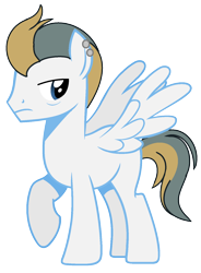 Size: 1176x1600 | Tagged: safe, artist:venomous-cookietwt, derpibooru import, oc, pegasus, pony, male, offspring, parent:high winds, parent:lightning streak, simple background, solo, stallion, transparent background