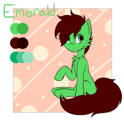Size: 2025x1964 | Tagged: safe, artist:lucky-em, derpibooru import, oc, oc only, oc:emerald, earth pony, pony, chest fluff, ear fluff, ears, raised hoof, raised leg, reference sheet, simple background, solo, transparent background