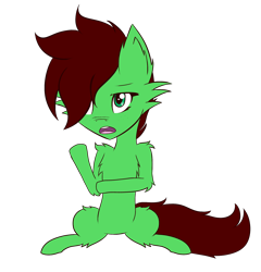 Size: 1920x2000 | Tagged: safe, artist:lucky-em, derpibooru import, oc, oc only, oc:emerald, earth pony, pony, chest fluff, ear fluff, ears, hair over one eye, raised hoof, raised leg, simple background, sitting, solo, transparent background