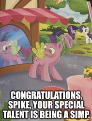 Size: 640x842 | Tagged: safe, artist:anthony conley, derpibooru import, edit, rarity, spike, twilight sparkle, twilight sparkle (alicorn), alicorn, pony, unicorn, a pony named spike, blushing, book, butt, captain obvious, caption, colt, female, image macro, implied shipping, implied sparity, implied straight, male, mare, mirror, outdoors, plot, ponified, ponified spike, simp, solo focus, species swap, text