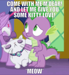 Size: 884x960 | Tagged: safe, edit, edited edit, edited screencap, editor:undeadponysoldier, screencap, opalescence, twilight sparkle, twilight sparkle (alicorn), alicorn, cat, animated, bow, cute, dear, fluffy tail, gif, m'dear, manners, meow, opalbetes, opalspike, shipping, spikelove, tail wrap, twilight's castle, walking