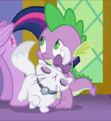 Size: 880x960 | Tagged: safe, screencap, opalescence, spike, twilight sparkle, twilight sparkle (alicorn), alicorn, cat, dragon, pony, animated, bow, cute, door, duo, duo focus, edited gif, episode needed, eyes closed, female, fluffy tail, gif, hair bow, looped, mare, opalbetes, perfect loop, spikelove, twilight's castle, whiskers