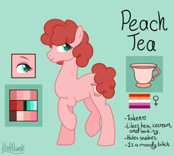 Size: 1280x1143 | Tagged: safe, artist:lilsoftlamb, derpibooru import, oc, oc:peach tea, earth pony, pony, female, mare, reference sheet, solo