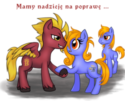 Size: 540x436 | Tagged: safe, derpibooru import, oc, oc only, oc:prince baltic, oc:princess pomerania, polish, simple background, transparent background, tribrony