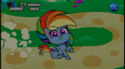 Size: 864x482 | Tagged: safe, derpibooru import, screencap, rainbow dash, pegasus, my little pony: pony life, ecuador, intro, tc television, wings