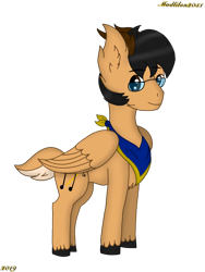 Size: 720x960 | Tagged: safe, artist:madlilon2051, derpibooru import, oc, oc only, pegasus, pony, glasses, male, neckerchief, pegasus oc, simple background, smiling, solo, stallion, transparent background, unshorn fetlocks, wings