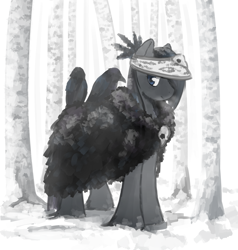 Size: 2651x2782 | Tagged: safe, artist:anonymous, derpibooru import, oc, oc only, bird, pony, raven (bird), black coat, black hair, blue eyes, breath, cloak, clothes, coat, female, forest, high res, mare, skull, snow, snow mare, snowpony (species), solo, taiga pony, tree, visible breath, visor, yakutian horse