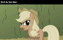 Size: 1280x810 | Tagged: safe, derpibooru import, edit, edited screencap, editor:fluttershyisnot adoormat, screencap, applejack, earth pony, pony, season 2, the return of harmony, applejack's hat, bad language, caption, clothes, cowboy hat, discorded, evil, evil character be like, female, freckles, green eyes, hat, mare, meme, open mouth, outdoors, solo, standing, swearing, text, vulgar