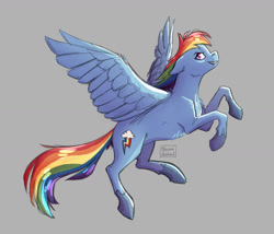 Size: 1280x1098 | Tagged: safe, artist:naomihubbard276, derpibooru import, rainbow dash, pegasus, pony, gray background, simple background, solo