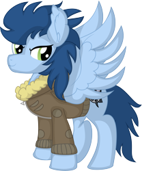 Size: 5998x7224 | Tagged: safe, artist:cyanlightning, derpibooru import, oc, oc:cerulean storm, pegasus, .svg available, absurd resolution, bomber jacket, clothes, jacket, male, simple background, solo, stallion, transparent background, vector