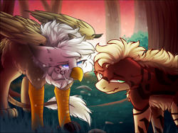 Size: 2885x2165 | Tagged: safe, artist:sketchytwi, derpibooru import, oc, oc only, earth pony, griffon, pony, chest fluff, duo, earth pony oc, forest, griffon oc, sunset, tree, wings