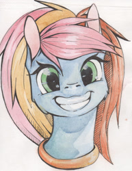 Size: 1589x2061 | Tagged: safe, artist:alcidence, derpibooru import, oc, oc only, pony, bust, cheek fluff, oc name needed, smiling, solo, traditional art