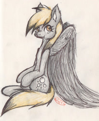 Size: 1498x1829 | Tagged: safe, artist:alcidence, derpibooru import, derpy hooves, pegasus, pony, :t, large wings, nose wrinkle, solo, traditional art, wings