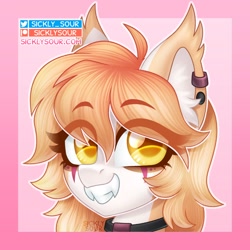 Size: 1000x1000 | Tagged: safe, artist:sickly-sour, derpibooru import, oc, oc only, bat pony, pony, fangs, solo, teeth