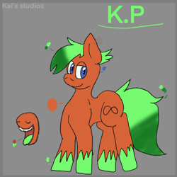 Size: 2000x2000 | Tagged: safe, artist:kaifurry, derpibooru exclusive, derpibooru import, oc, oc only, oc:kp, earth pony, pony, abstract background, gradient mane, looking at you, reference sheet, solo, standing, unshorn fetlocks