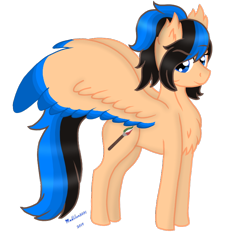 Size: 790x746 | Tagged: safe, artist:madlilon2051, derpibooru import, oc, oc only, pegasus, pony, chest fluff, colored wings, ear fluff, ears, female, mare, pegasus oc, simple background, smiling, transparent background, two toned wings, wings