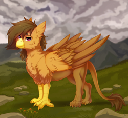 Size: 2000x1840 | Tagged: safe, artist:dinoalpaka, derpibooru import, oc, oc only, oc:moonquill, griffon, commission, female, griffon oc, looking at you, mountain, solo