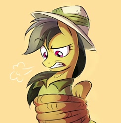 Size: 1080x1102 | Tagged: safe, artist:__regenbogen_, artist:regenbogen, derpibooru import, daring do, pegasus, pony, annoyed, bondage, bound wings, gritted teeth, hat, pith helmet, rope, rope bondage, snorting, tied up, wings