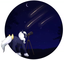 Size: 2108x1972 | Tagged: safe, artist:foxhatart, derpibooru import, oc, oc only, oc:moonlight, pony, unicorn, bow, female, high res, mare, partial background, shooting star, solo, tail, tail bow, telescope